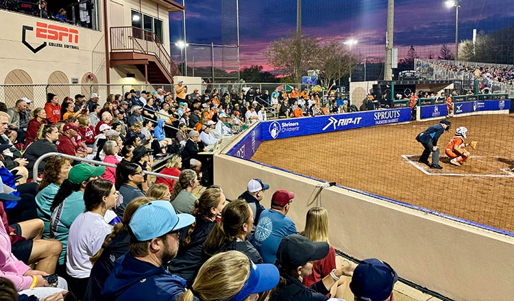 crowd watching softball game